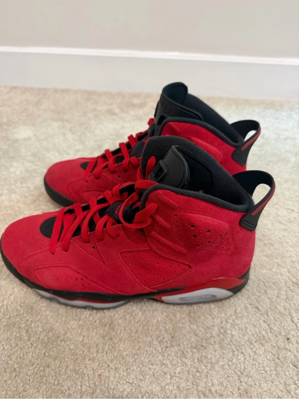 Retro Jordan 6 - Toro Bravo
